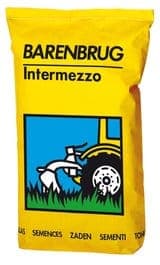 Intermezzo