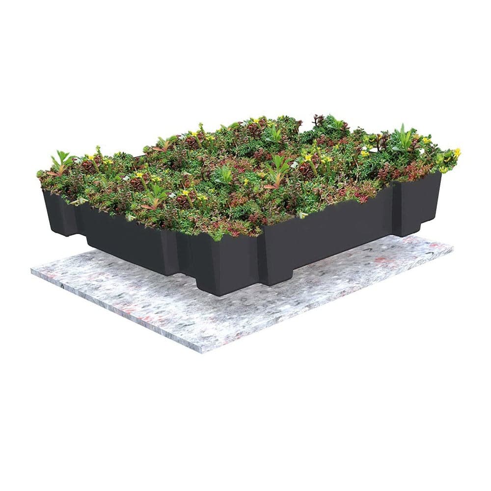 Sedumtrays 40×60 cm incl. drainagesysteem