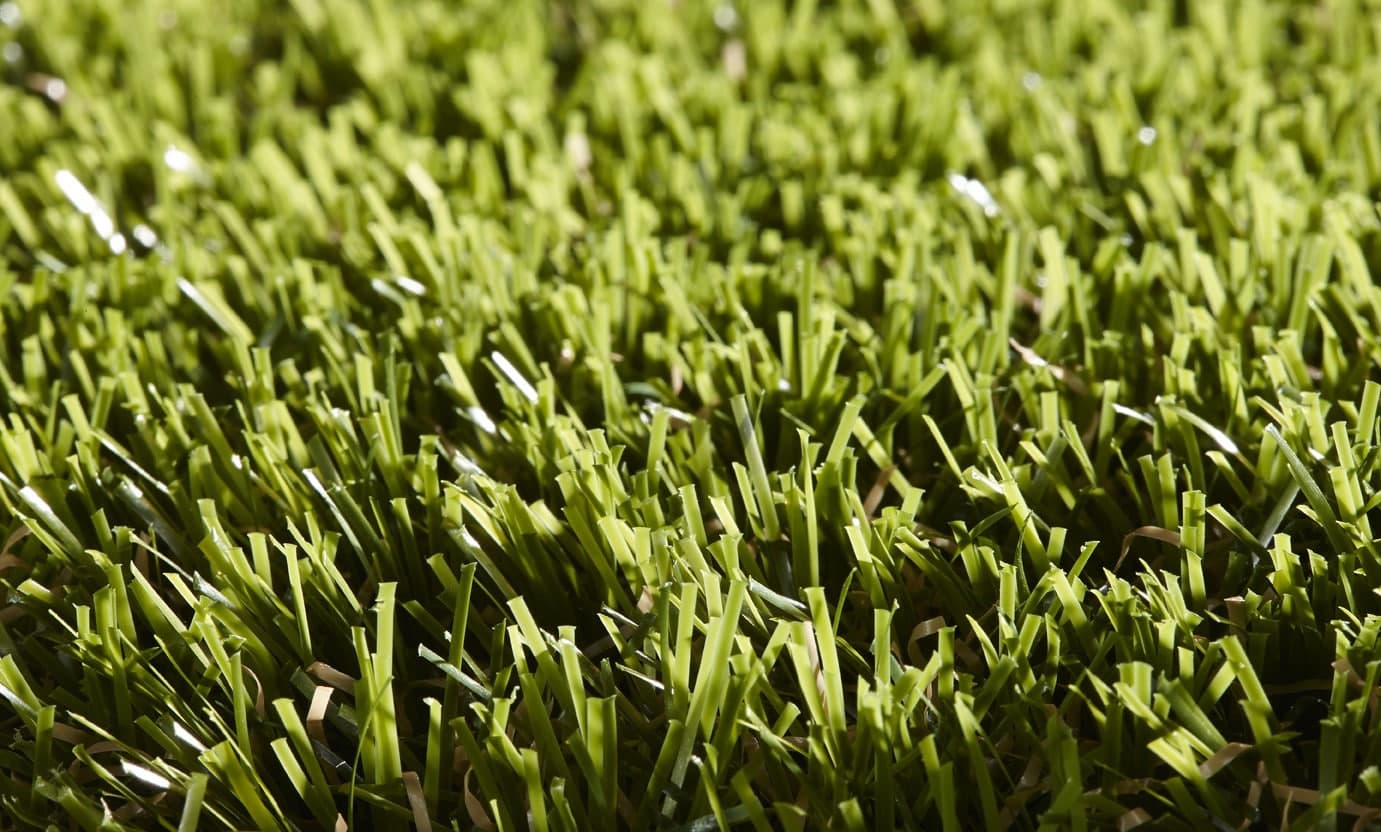 Gras, werffoto